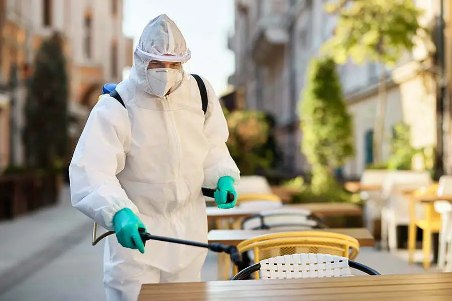 Hire a Professional Pest Control Service