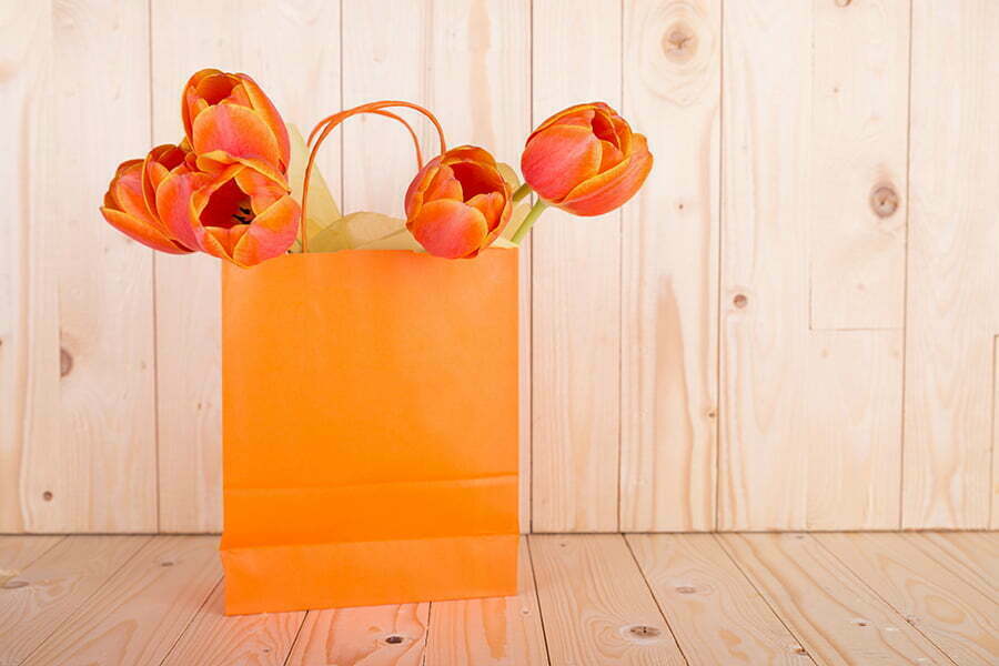 Flower Bulbs in Decorative Bags