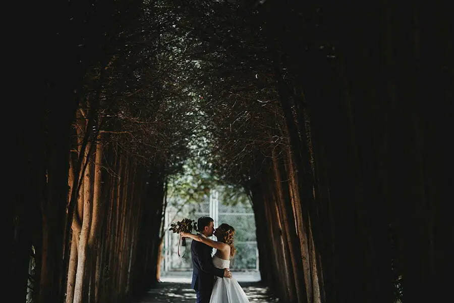 Getting Married Under a Tree Canopy