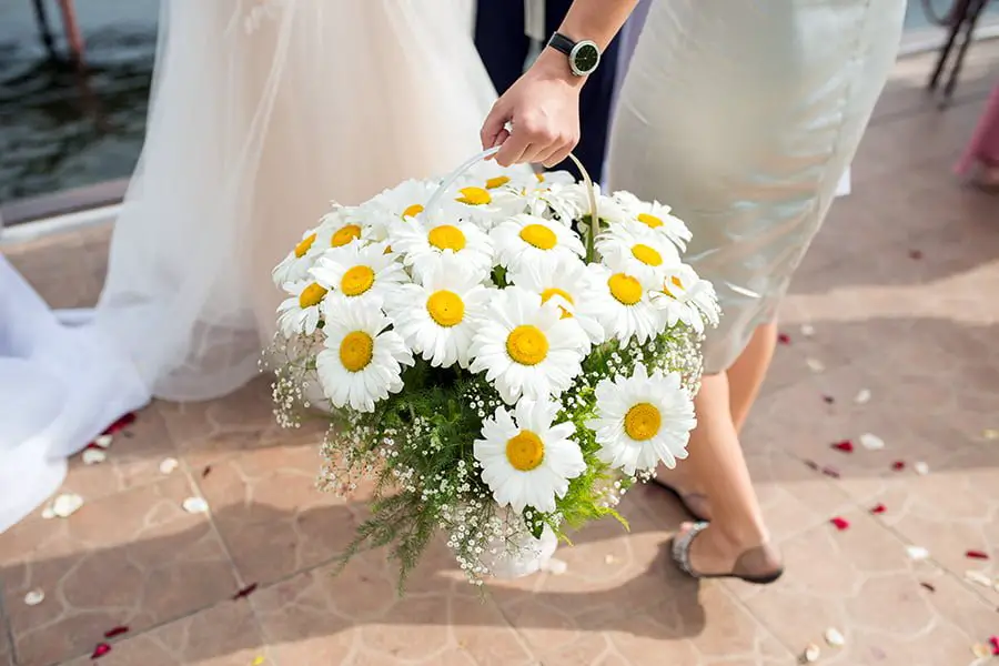 outdoor wedding daisies