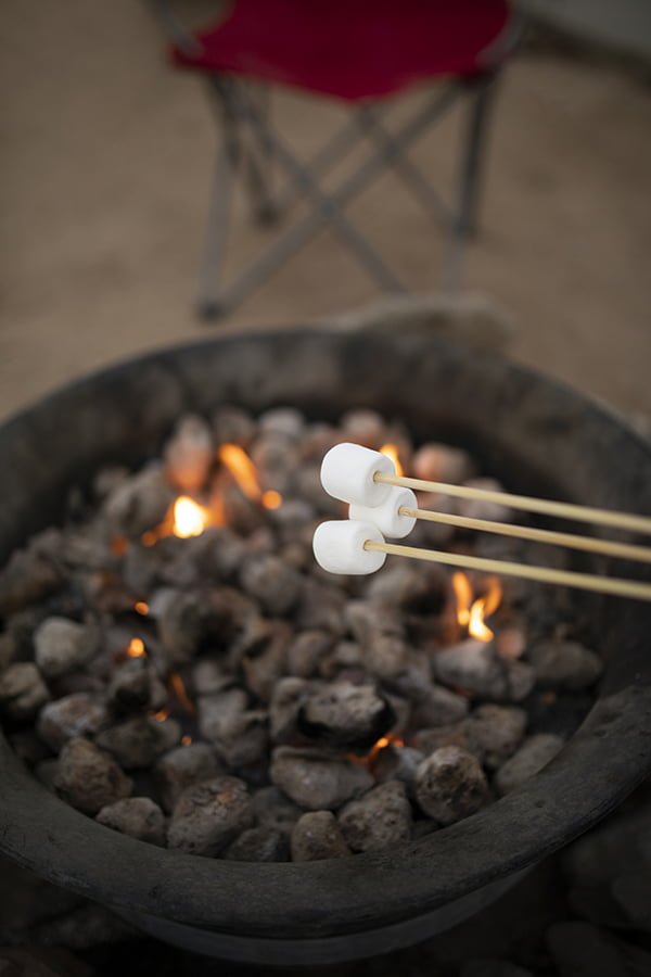 Fire Pit With S’mores