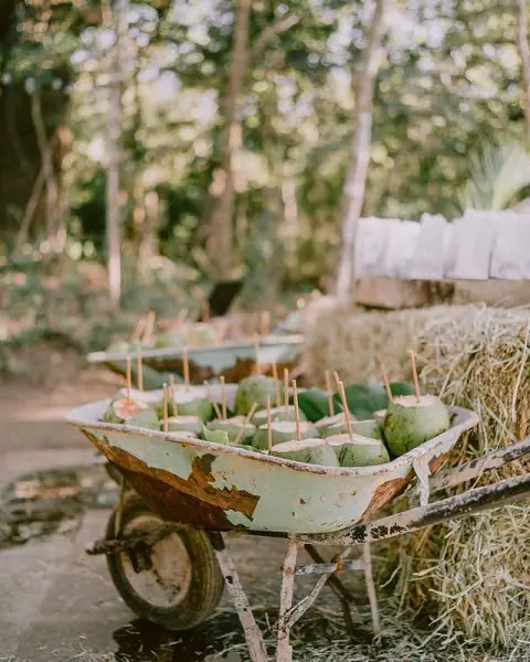 Sustainably Daring: Natural Outdoor Wedding Decor In Rincón National Park natural outdoor wedding decoration