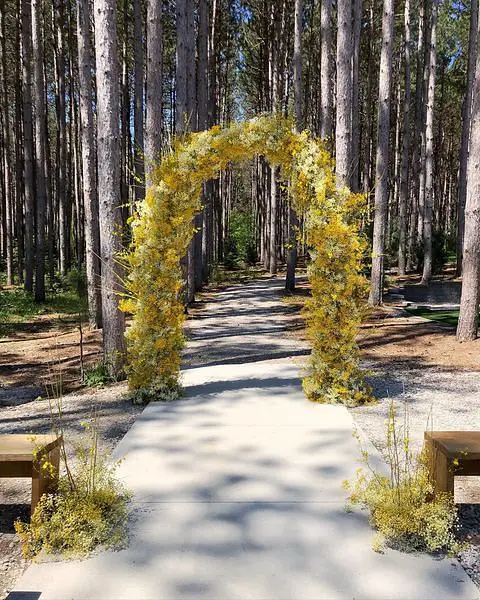 Enchanting Forest Wedding With Magical Floral Décor At Pinewood spring outdoor wedding decor