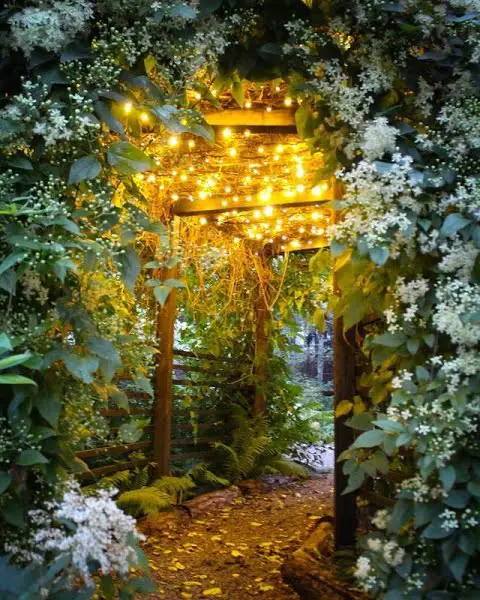 Breathtakingly Elegant: Summer Outdoor Wedding Decor Inspiration summer outdoor wedding decor