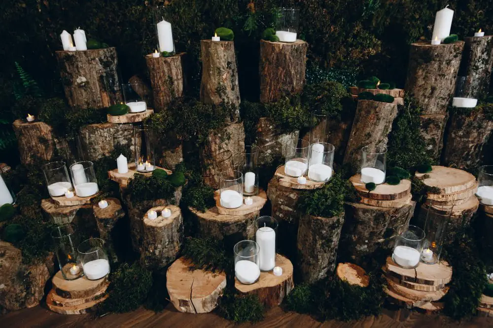 Birch Tree Candle Holders