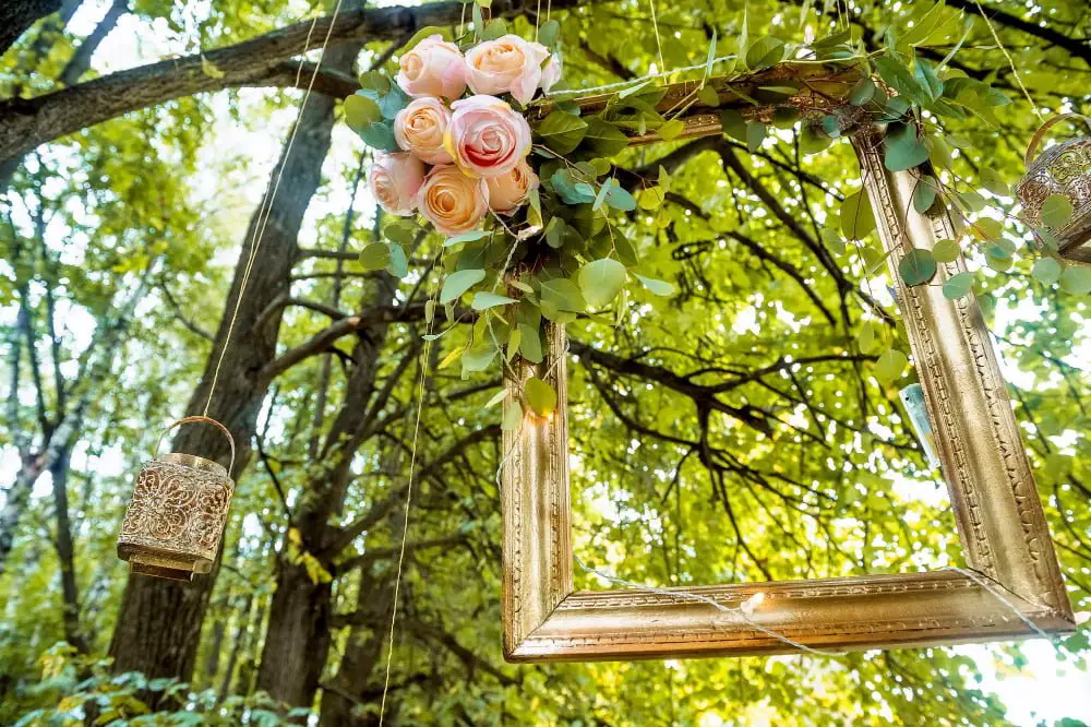 Hanging Pictures in trees decor wedding