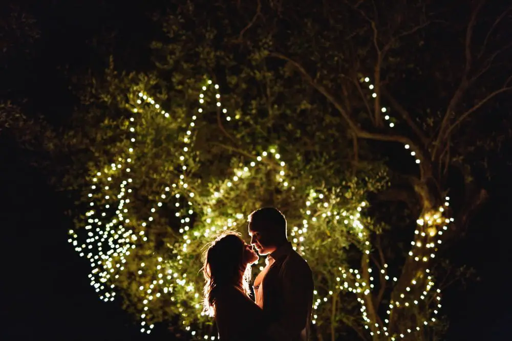 Lighted Trees outdoor wedding