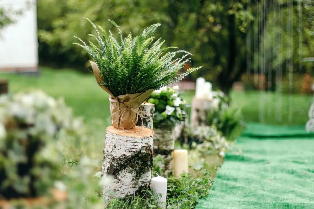 Potted Plants decor outdoor wedding