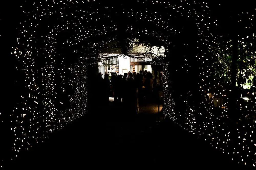 Starry Night Ceiling Canopy outdoor wedding