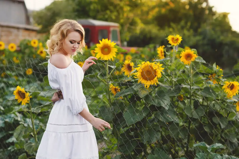 Sunflower Walkway wedding