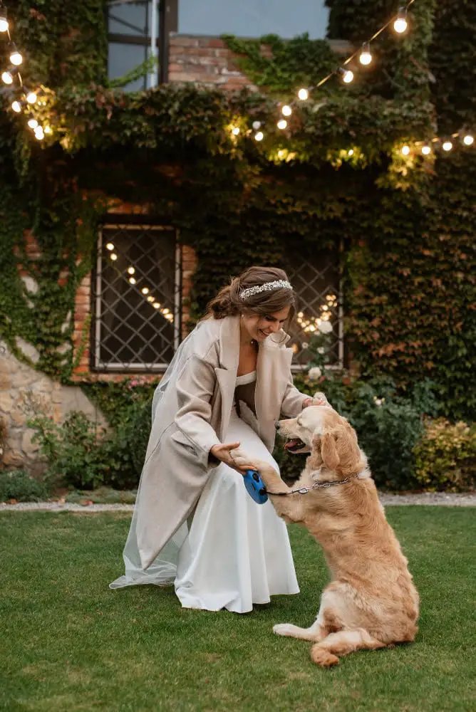 dog in outdoor wedding