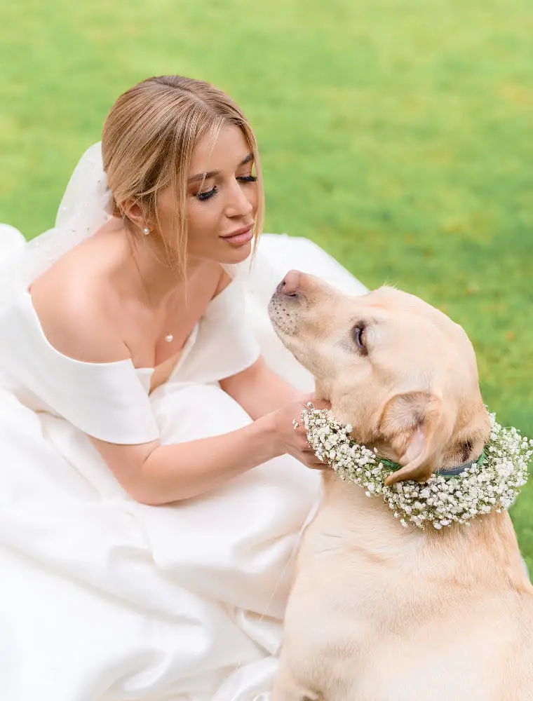 dog with bride