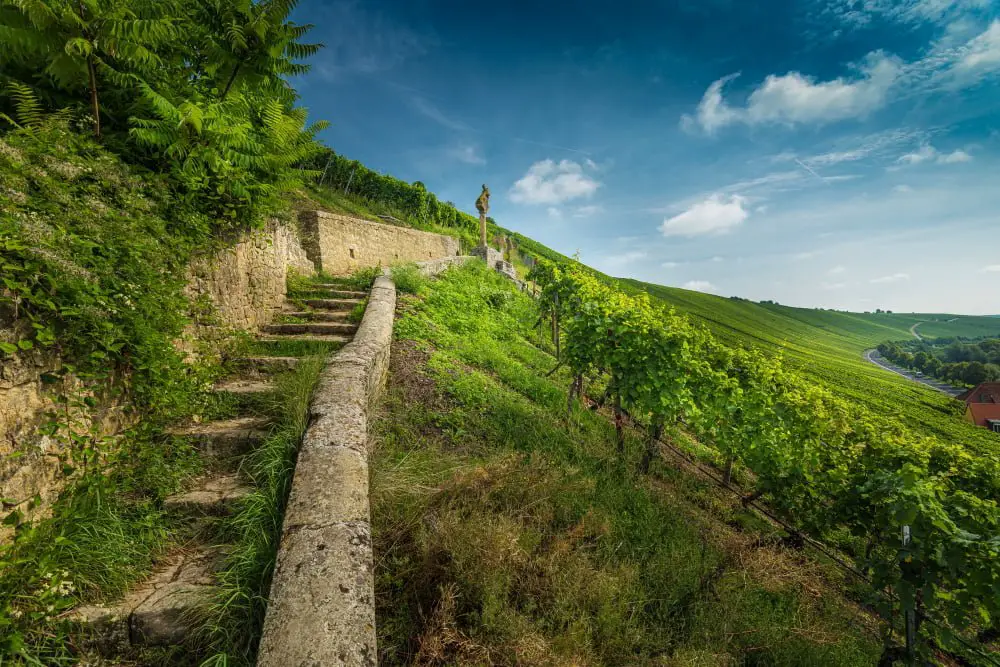 vineyards location