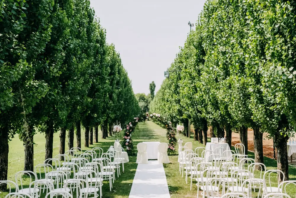Cypress Tree Aisle wedding