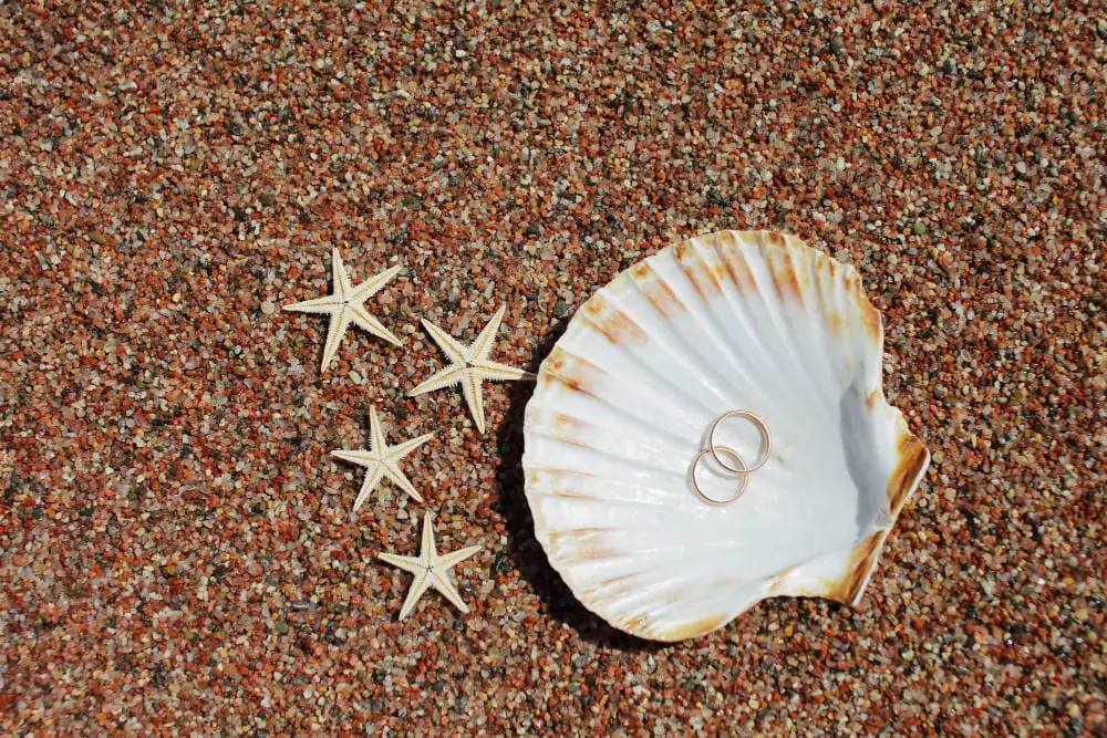 wedding photoshoot Seashell