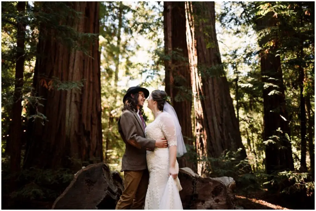 California State Park Wedding Venues