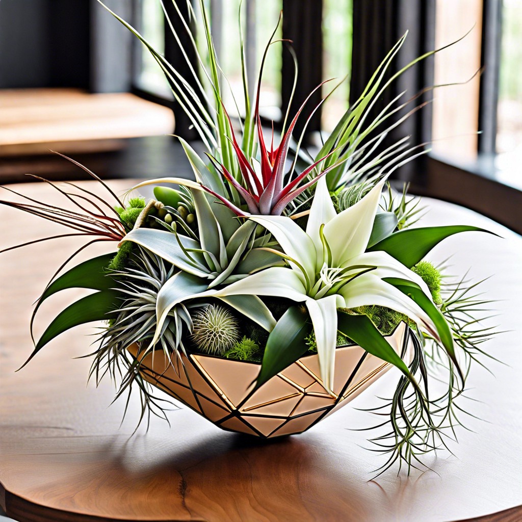 air plants with geometric ornaments